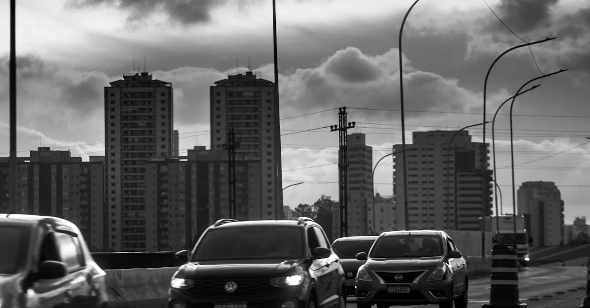 Long-Distance & Interstate Travel